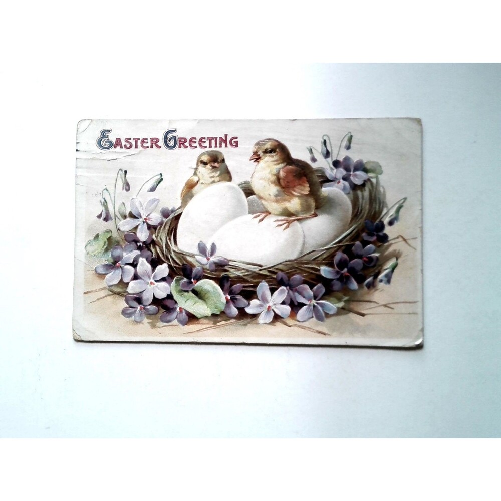 Easter Greeting Postcard 1911 Birds Nest Eggs Violets Poughkeepsie NY German